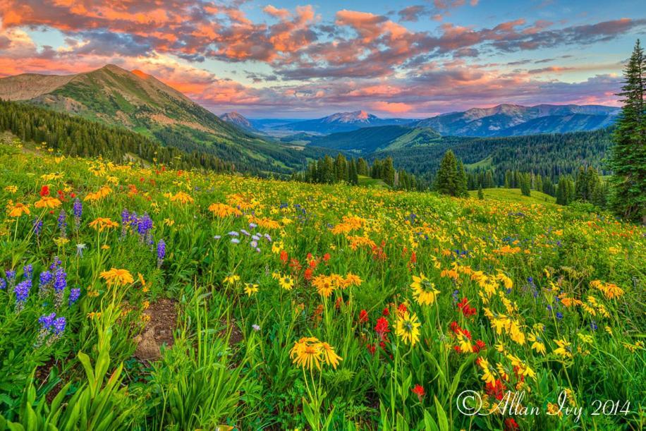 Alpine Inn & Suites Gunnison Dış mekan fotoğraf